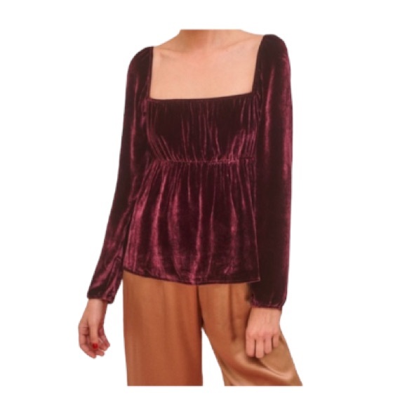 Reformation Tops - Reformation Roy Burgundy Velvet Silk Blend Top